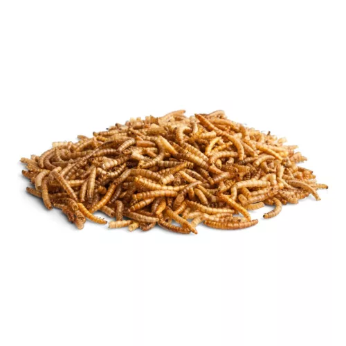 Recompense cu viermi de făină bunnyNature EnjoyNature Worm Wonder 60 g
