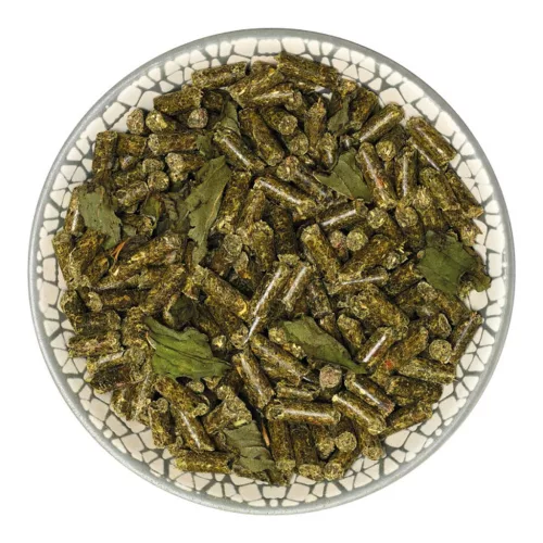 Hrană completă pentru porcușori de Guineea adulți bunnyNature GuineaPigDream Basic 4 kg