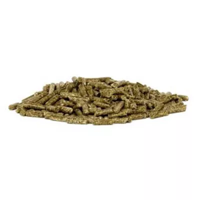 Hrană completă pentru sănătatea dinților bunnyNature goVet Energy Dental 1,2 kg