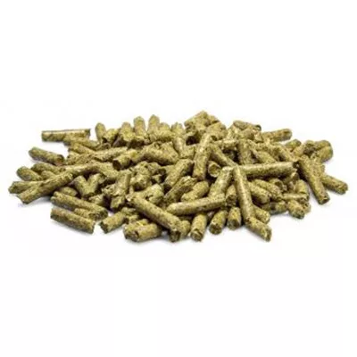 Pelete pentru căile respiratorii bunnyNature goVet BRONCHOplex 325 g