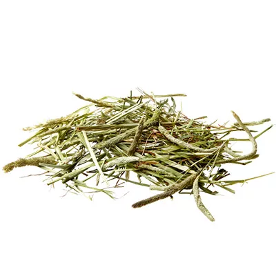 Fân timothy Versele-Laga Nature 1 kg