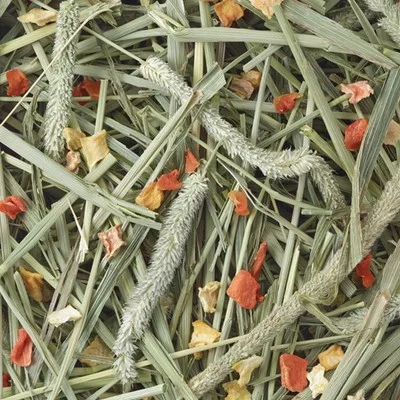 Fân timothy morcov și dovleac Versele-Laga Nature 500 g