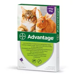   Pipetă antiparazitară Advantage 80 pentru iepuri și pisici 4-8 kg 1 buc