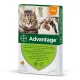 Pipete antiparazitare Advantage 40 pentru iepuri și pisici sub 4 kg 4 buc