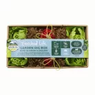 Cutie de săpat Oxbow Enriched Life Garden Dig Box ratan 29,8 × 15,9 × 6,4 cm