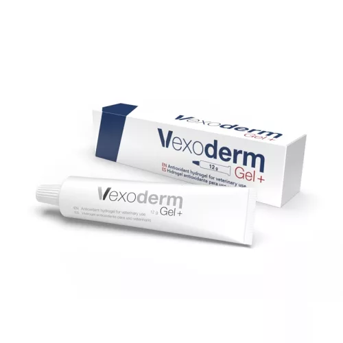 Hidrogel antioxidant Vexoderm Gel+ 12 g