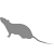 șobolan